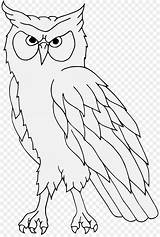 Burung Hantu Sketsa Lukisan Kolase Owl Hewan Kepala Traceable Heraldic Cikimm Mata Palu Tato Menakjubkan Heraldry Heraldicart sketch template