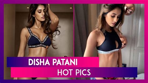 Disha Patani Birthday 7 Pics Of The Stunning Bollywood Diva That Are