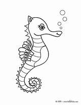 Seahorse Cute Coloring Pages Color Sea Animals Seepferdchen Ausmalen Zum Animal Zeedieren Print Online sketch template