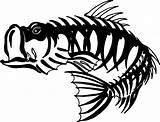 Skeleton Bass Clipart Fish Fishing Drawing Catfish Mean Clip Logo Tattoo Striped Crappie Fly Tattoos Skull Transparent Sketching Largemouth Drawings sketch template