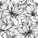 Coloritura Scarabocchi Floreale Scarabocchio Magnolia Scarabocchii sketch template