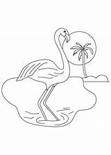 Flamingo Ausmalbilder Flaming Kolorowanki Flamingos Bestcoloringpagesforkids Dzieci Template Wydruku Getdrawings Letzte Seite Ausdrucken sketch template
