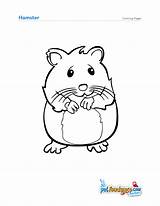 Hamster Coloring Pages Printable Cute Realistic Drawing Baby Dwarf Hamsters Color Getcolorings Calculation Sheets Print Getdrawings Kids Preschool Good Choose sketch template