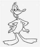 Daffy Looney Gangster Nicepng sketch template