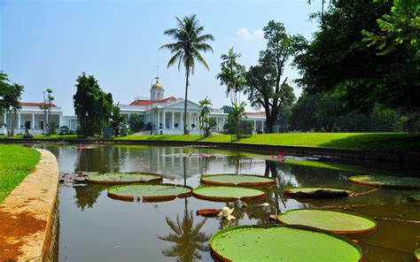 kebun raya bogor  spot menarik lapis bogor sangkuriang