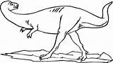Plateosaurus Coloring Clipart Categories sketch template
