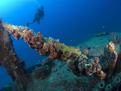 duiken  curacao curacao tropisch paradijs onderwater