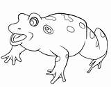 Coloring Pages Tree Bullfrog Frog Eye Red 93kb 629px Getdrawings Getcolorings sketch template