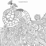 Coloring Pages Peacock Adults Adult Print Printable Drawing Young Color Mindfulness Mindful Peacocks Colouring Stress Mandala Getdrawings Books Amazon Anti sketch template