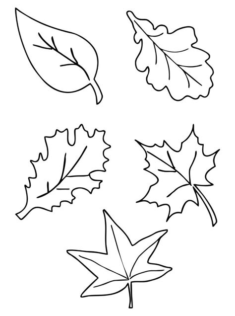printable fall leaves template printable templates