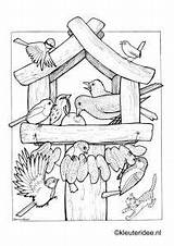 Kleurplaat Kleurplaten Vogel Vogels Kleuteridee Madarak Vogelhaus Vogelhochzeit Napja Fák Ausmalen és Vögel Feeding Erwachsene Vogelhuisjes Volwassenen Malvorlagen Voederhuisje Voeren sketch template
