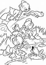 Coloring Dewey Huey Pages Louie Ducktales Pond Playing Printable sketch template