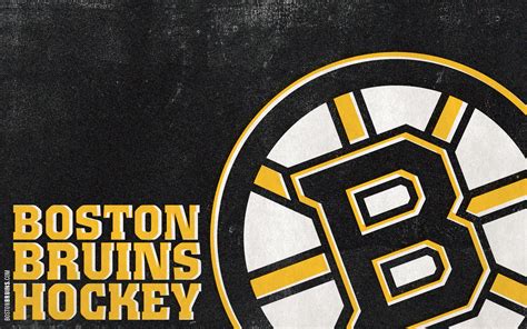 bruins logo boston bruins wallpaper  fanpop