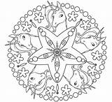 Lyria Ausmalbilder Einhorn Pintar Mandala Stell sketch template