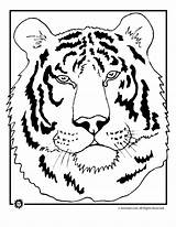 Tigers Cliparts Tiger sketch template