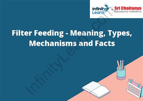 filter feeding meaning types mechanisms  facts infinity learn