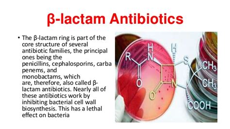 beta lactam antibiotics penicillin cephalosporin monobactam