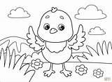 Chick sketch template