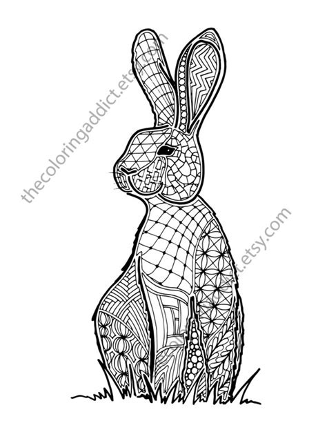 bunny coloring book  christopher myersas coloring pages