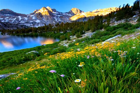 mountain spring meadow spring wallpaper background images spring