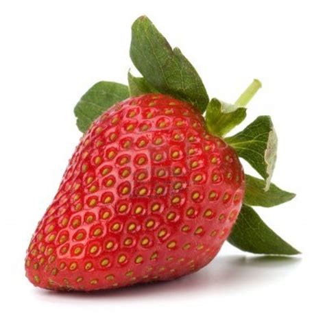 strawberry  information  strawberry