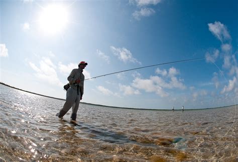 wading  shallow water tips