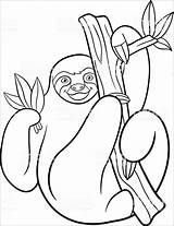 Sloths Sloth Coloringbay Getcolorings sketch template