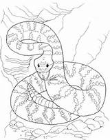 Coloring Pages Rattlesnake Viper Snake Desert Dangerous Color Snakes Yuckles Cool Printable Getdrawings Getcolorings Visit Scene Comments sketch template