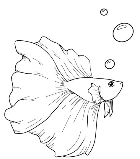 buy instant  coloring page betta fish  page