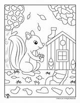 Fall Hidden Printable Kids Printables Objects Shapes Worksheets Preschool Pages Find Activities Puzzles Activity Squirrel Coloring Colouring Teaching Cute Choose sketch template