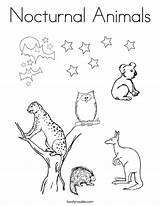 Nocturnal Animals Coloring Animal Pages Worksheets Kids Clipart Preschool Diurnal Color Printable Noodle Twisty Forest Print Clip Habitats Halloween Information sketch template