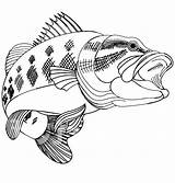 Bass Coloring Fish Pages Fishing Outline Printable Tocolor sketch template