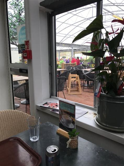 wyevale garden centre royal tunbridge wells restaurant reviews