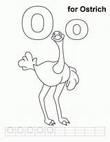 Ostrich Coloringhome sketch template