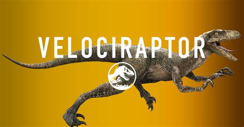 Neurodojo Leader Of The Pack Fleshing Out Velociraptor
