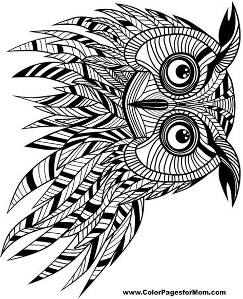 owlsjpg  owl coloring pages coloring pages easy