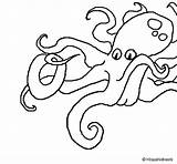 Octopus Coloring Coloringcrew sketch template