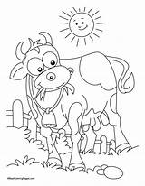 Coloring Cow Eating Grass Pages Bathing Sun Kid Kids Drawing Animals Colour Choose Pattern Board sketch template