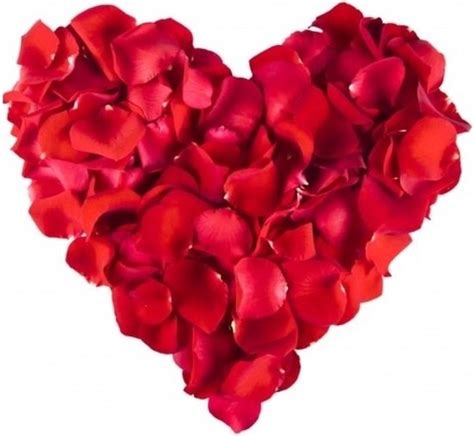 rode rozenblaadjes  stuks valentijnsdag valentijn decoratie versiering bol