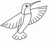 Hummingbird Coloring Pages Printable Ruby Throated Drawing Print Hummingbirds Kids Template Simple Color Bird Colouring Sheets Book Step Templates Getdrawings sketch template