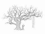 Baobab Tree Getdrawings Drawing sketch template