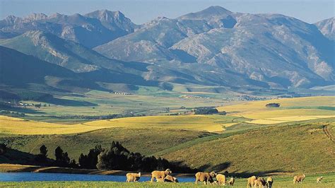 western cape vacation packages  save