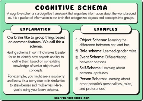 schema examples  learning psychology