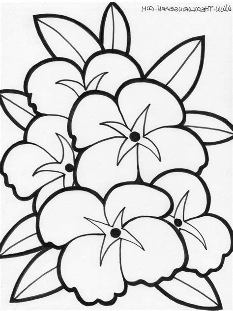 coloring pages  hawaiian flowers  getcoloringscom