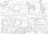 Zoo Coloring Animals Printable Kids Large Poster sketch template