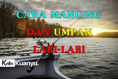 Cara Mancing Labi Labi Di Sungai Beserta Umpan Jitunya