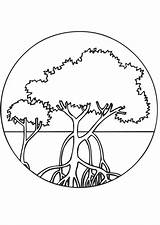 Mangroves Coloring Mangrove Pages Printable Tree Kids Edupics Colouring Forest Visit Choose Board Manglar Printablecolouringpages Large sketch template