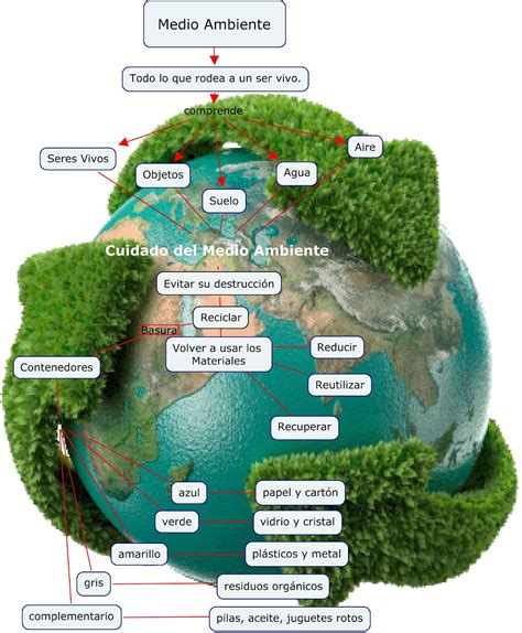 ecologia cuidemos el medio ambiente mapa conceptual