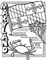 Maryland Coloring Pages State Crayola Flag Symbols Color Facts Printable Sheets Orioles Usa Carolina Sheet Adult Symbol Studies Social Colouring sketch template