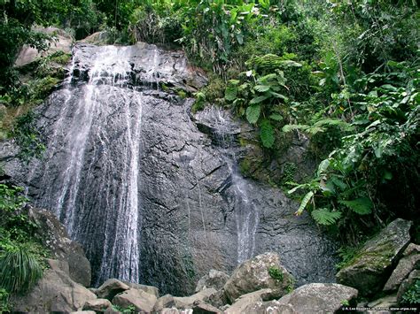 El Yunque Waterfall Puerto Rico Wallpaper 331574 Fanpop
